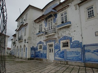 natukasiitaile537.JPG